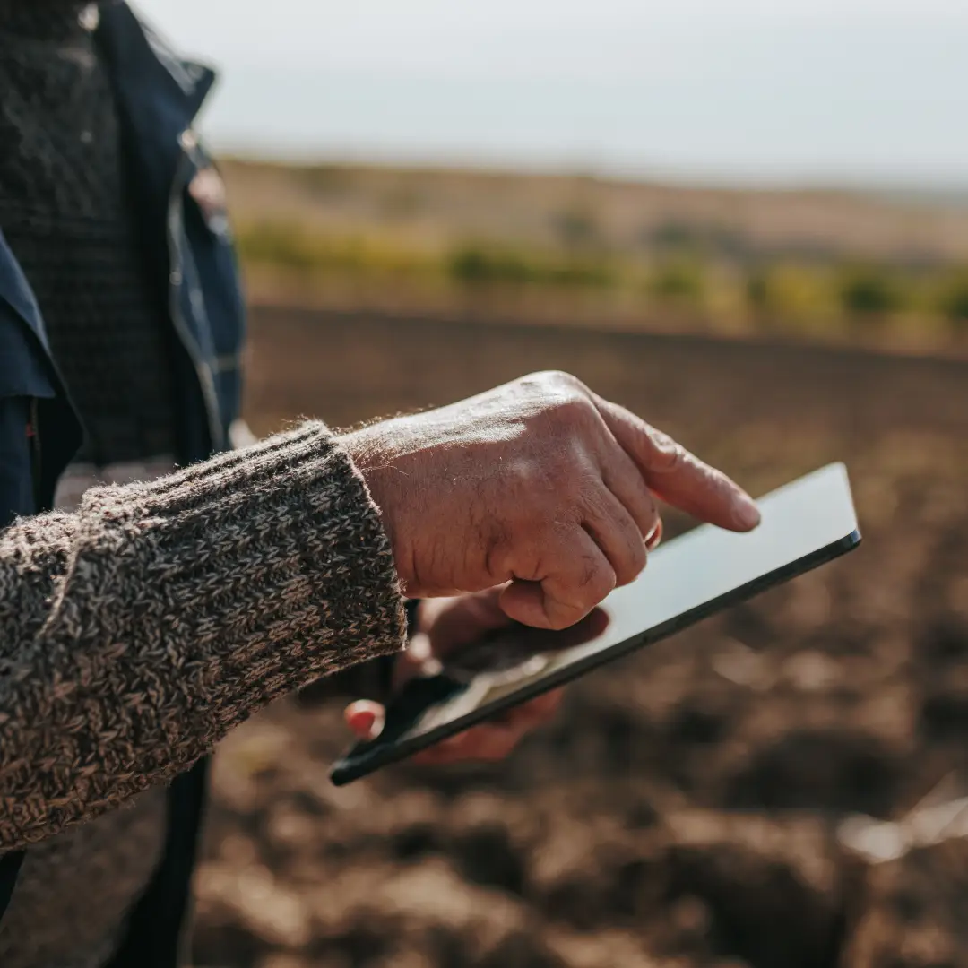 Asesoramiento y seguimiento de la plantación